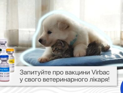 создание Рекламного ролика для Cymedica