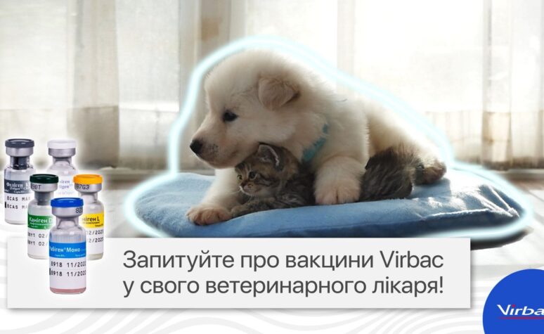 создание Рекламного ролика для Cymedica